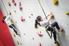 快船126-113尼克斯，球员表现点评及数据一览 谁是最大功臣